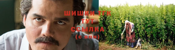 ГАЛЛЮЦИНОГЕННЫЕ ГРИБЫ Покачи